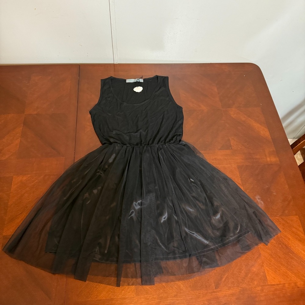 Black Tulle Mesh Dress Sleeveless Lined Fit Flare gothic witchy small